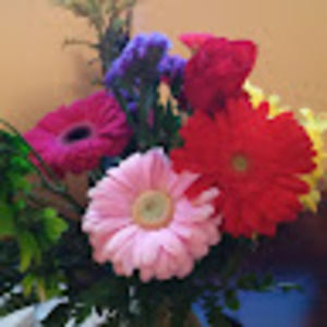 Meet your Posher, Alfredo